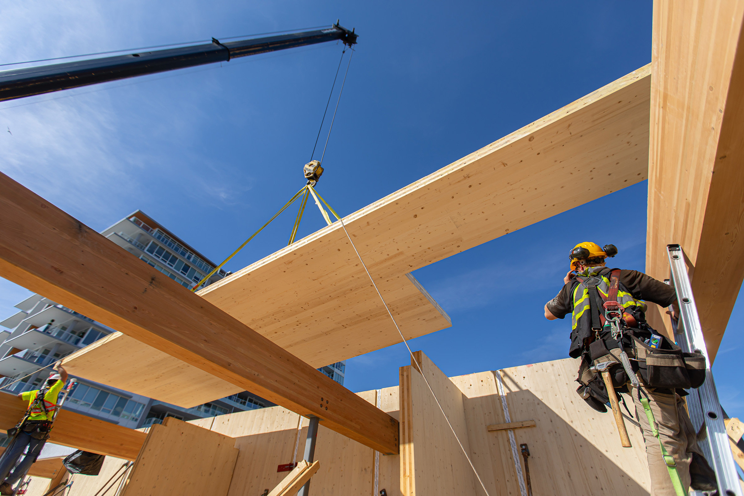 Crane lifts large wood panel into place on construction site