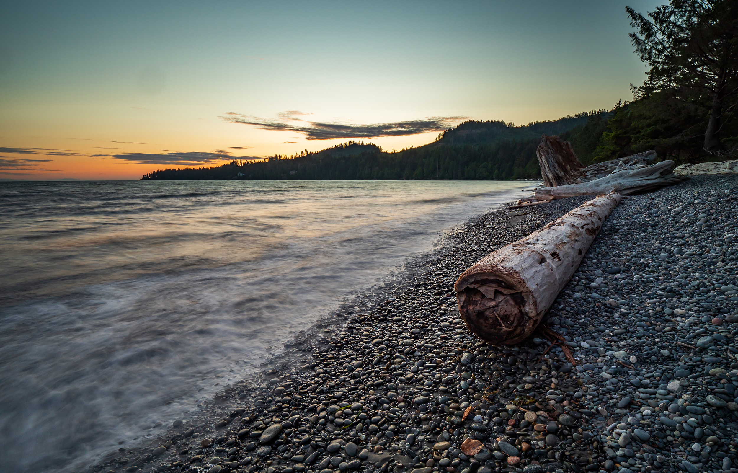 Fallen log lies on a rocky beach with a forest in the background